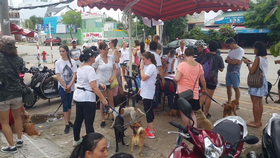 Expats gather to sign a petition in Thao Dien in this photo posted on the Facebook of Fernando Ruizbo.