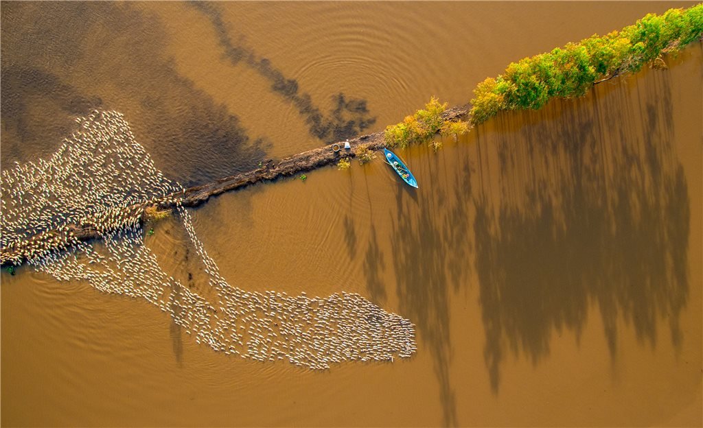 ‘Alluvial colors’ by Nguyen Hoang Nam – second prize