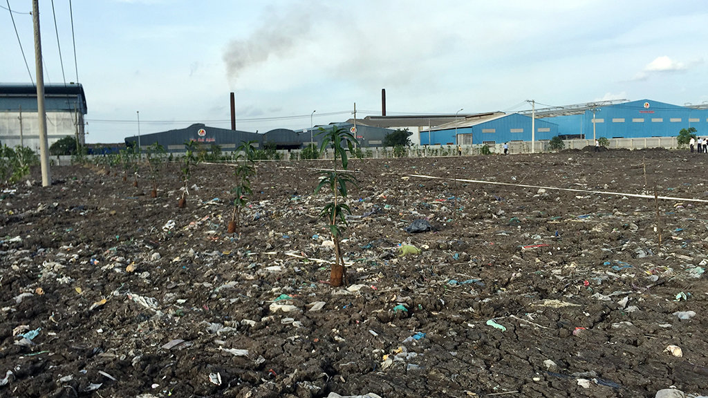 Untreated plastic waste is spotted in the soil of land belonging to the project of the city’s Management Board for Solid Waste Treatment Complexes (MBS).
