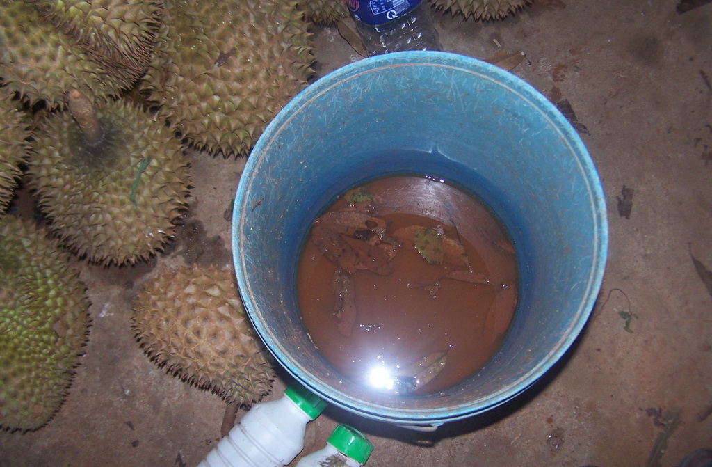 The bucket of fruit ripening agent found at a durian wholesaler in Vietnam’s Kon Tum Province.
