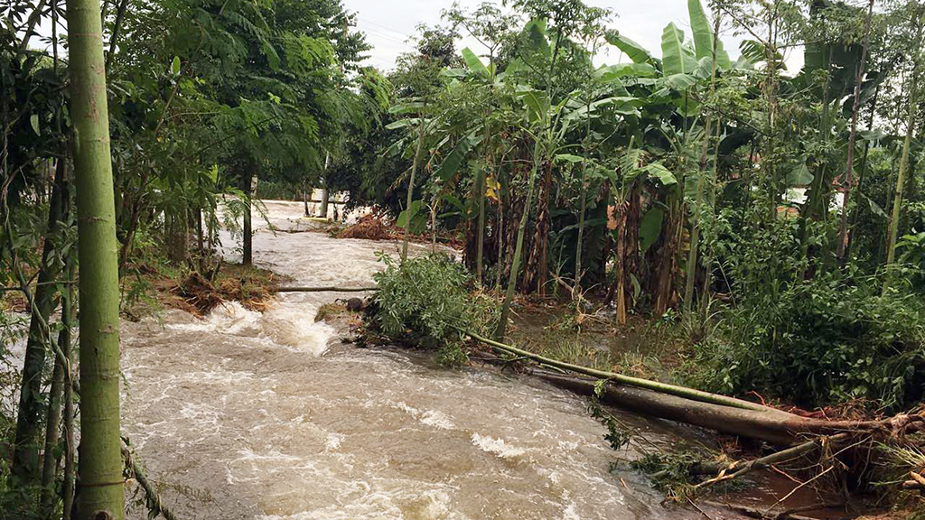 Crops grown by local residents are damaged by overflowing water from the Gia Hoet Lake. Photo: Tuoi Tre