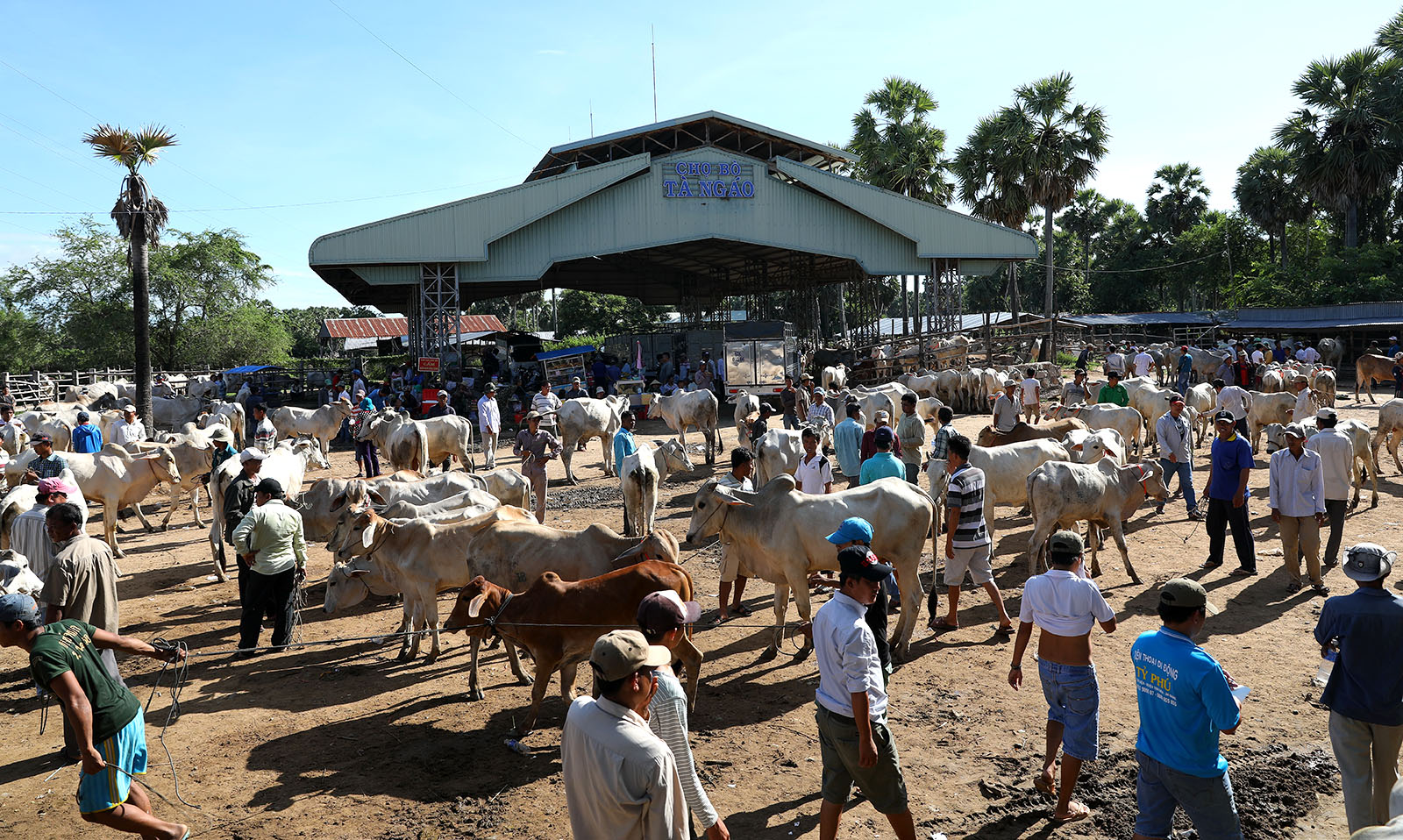 The market becomes bustling early in the morning.