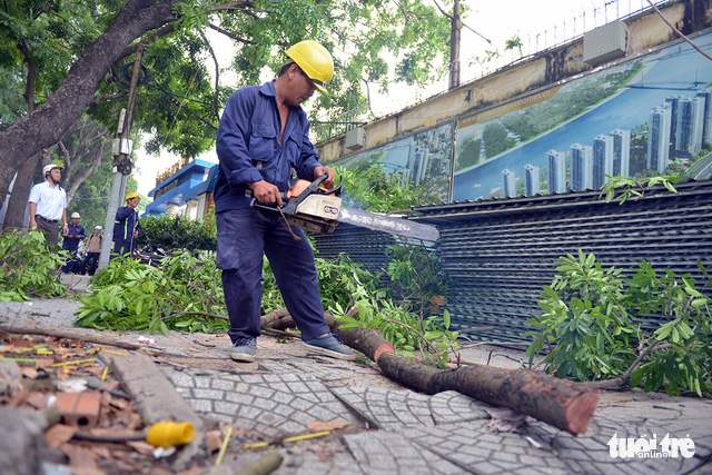 About 14 trees will be removed or relocated during the first phase of the plan. Photo: Tuoi Tre