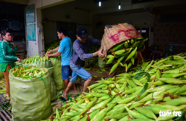 People unload corn at the market in Hoc Mon District, outside Ho Chi Minh City.