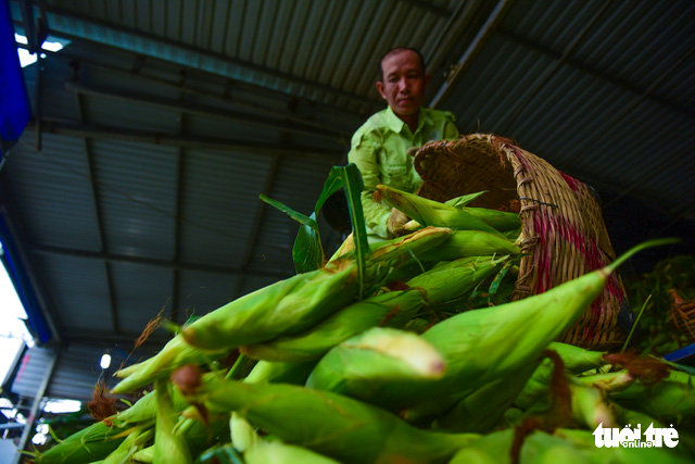 Corns are sourced from nearby provinces including Dong Thap, Tien Giang, Tay Ninh, An Giang and Vinh Long to the market before being distributed to retail buyers.