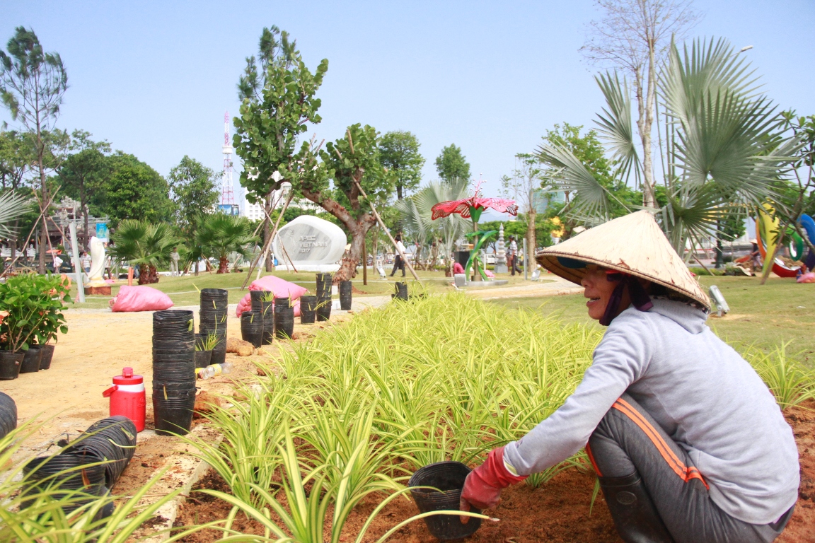 A worker plants flowers at APEC Park in Da Nang. Photo: Tuoi Tre