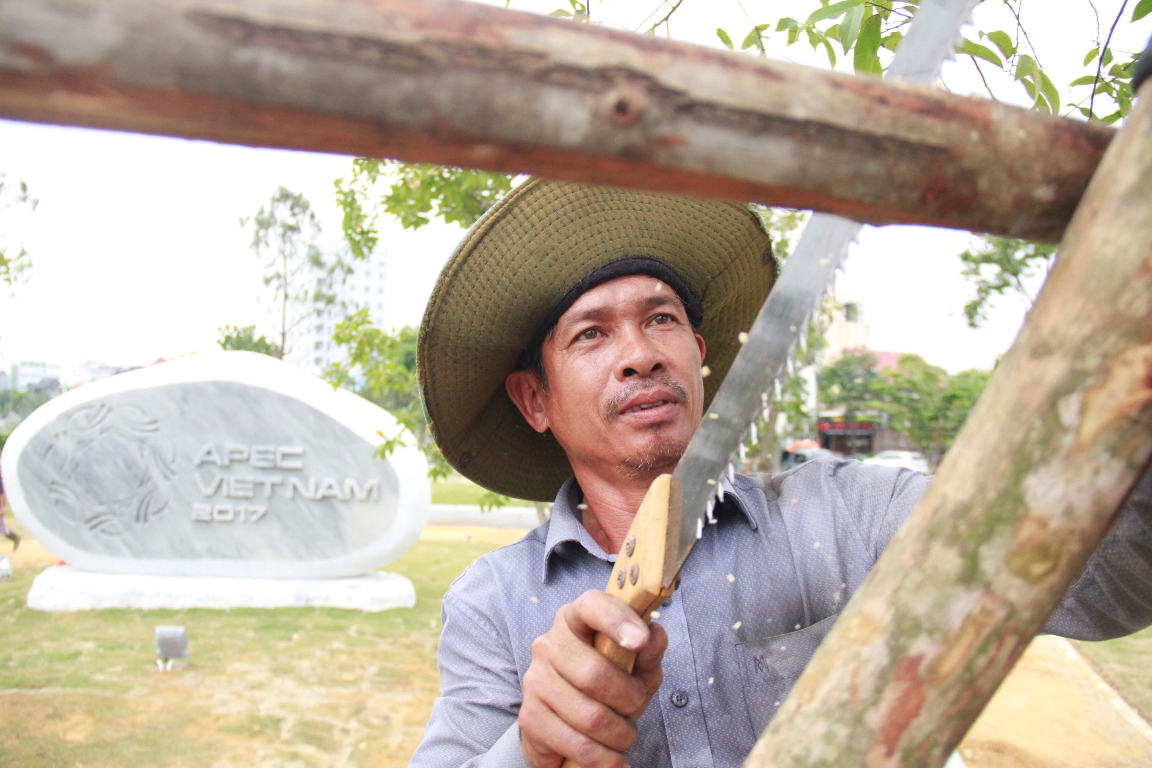 A worker fixes reinforcements to a newly planted tree at APEC Park in Da Nang. Photo: Tuoi Tre