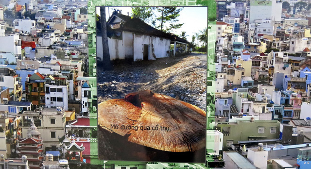 Trees felled to make way for city planning: a treeless city. Photo: Tuoi Tre