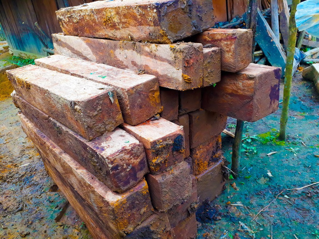 A plie of Fokienia wood logs. Photo: Tuoi Tre