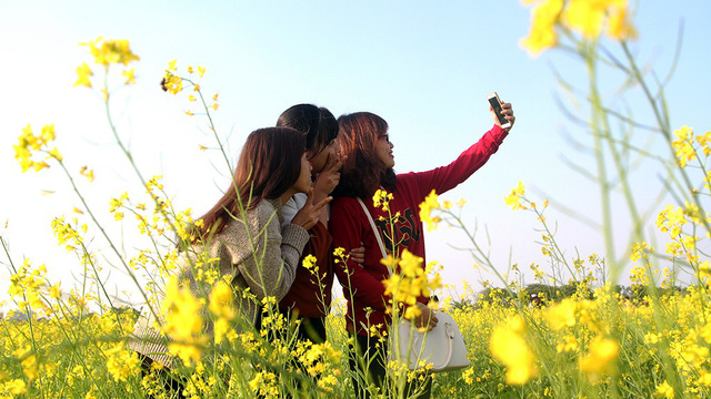 A group of young girls take a wefie among the yellow flowers.