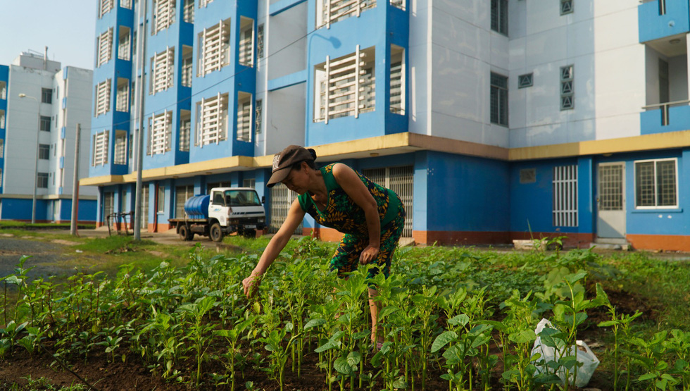 A resident grows vegetable inside the complex.
