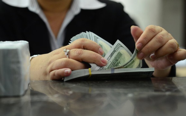 A woman counts U.S dollars at a bank in Ho Chi Minh City. Photo: Tuoi Tre