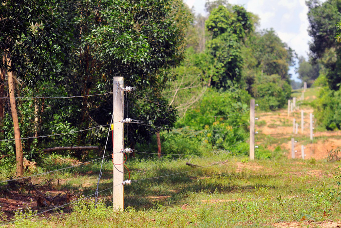 An electric fence is set up to scare away wild elephants. Photo: Tuoi Tre