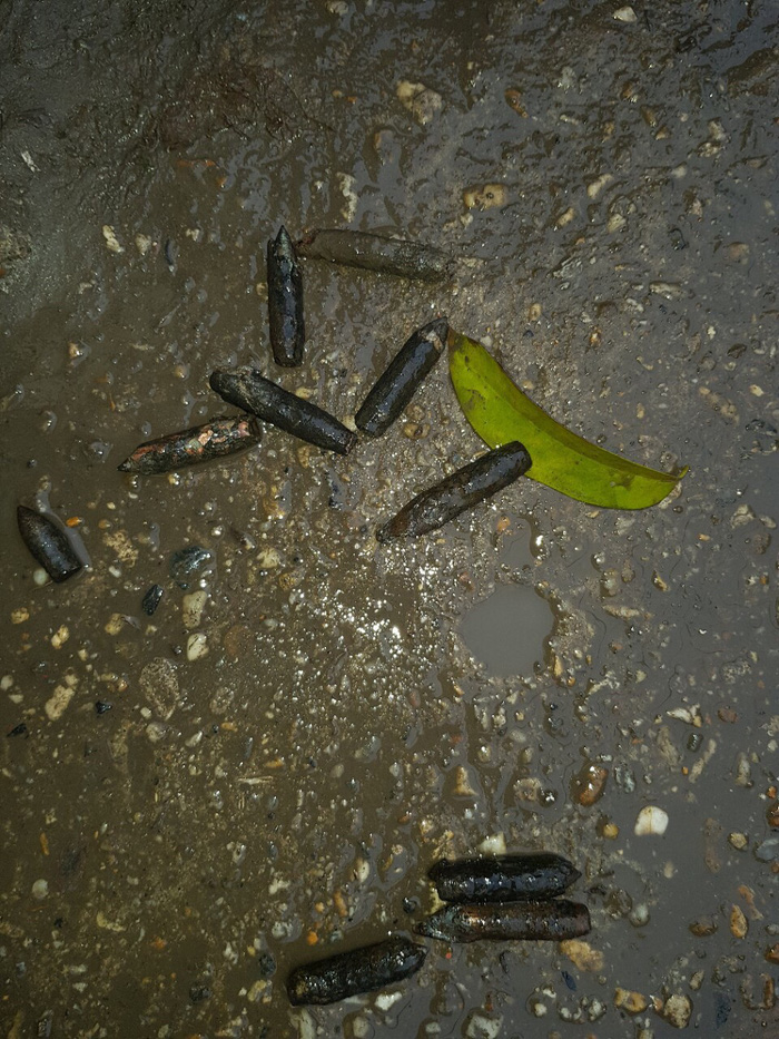 Bullet shells are found near the blast. Photo: Tuoi Tre