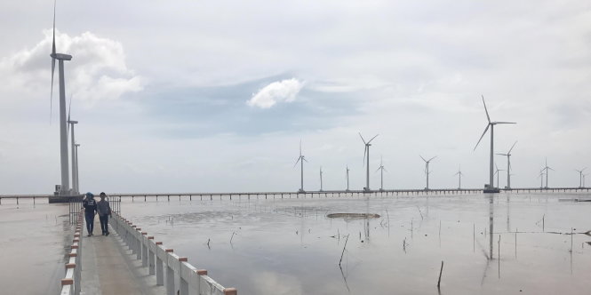 A floating wind farm in Bac Lieu Province in southern Vietnam. Photo: Tuoi Tre