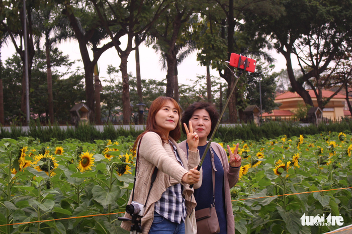 Two foreign tourists take a selfie with the sunflowers.