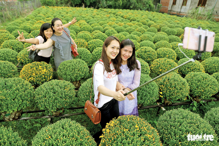 Women take photos amid rows of chrysanthemums. Photo: Tuoi Tre