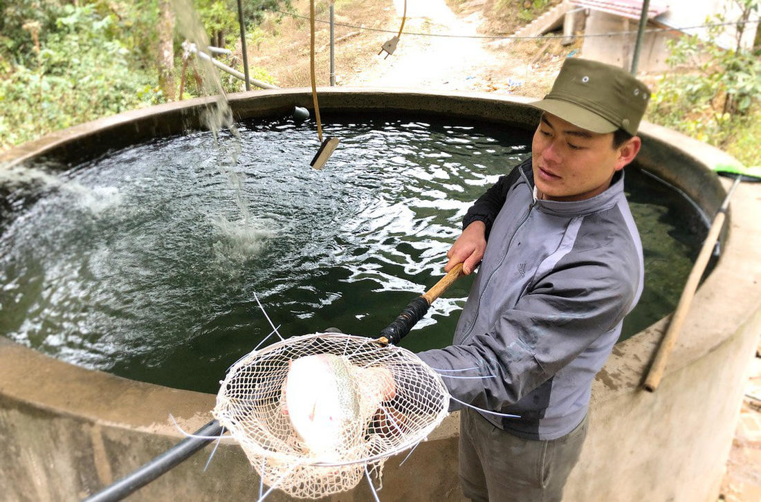 Trieu Van Trinh catches a fish from his salmon farm in Mau Son Commune, Lang Son Province. Photo: Tuoi Tre