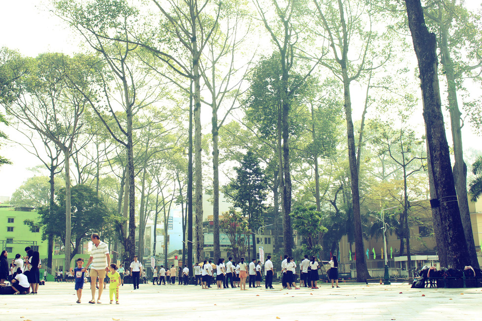 People gather at a public playground in District 5 where there are many green trees.