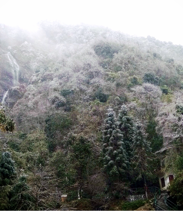 Frost starts to form in Sa Pa Town, located in the northern province of Lao Cai on February 5, 2018. Photo: Tuoi Tre