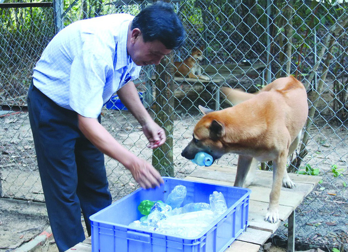 An employee trains a Phu Quoc ridgeback on collecting garbage at a farm on Phu Quoc Island, off southern Vietnam. Photo: Tuoi Tre