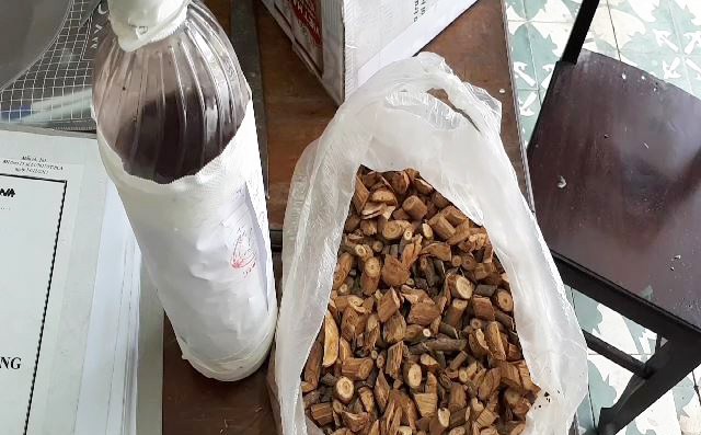 The confiscated bottle of root-infused wine and the bag of chopped roots considered to be the cause of intoxication. Photo: Tuoi Tre