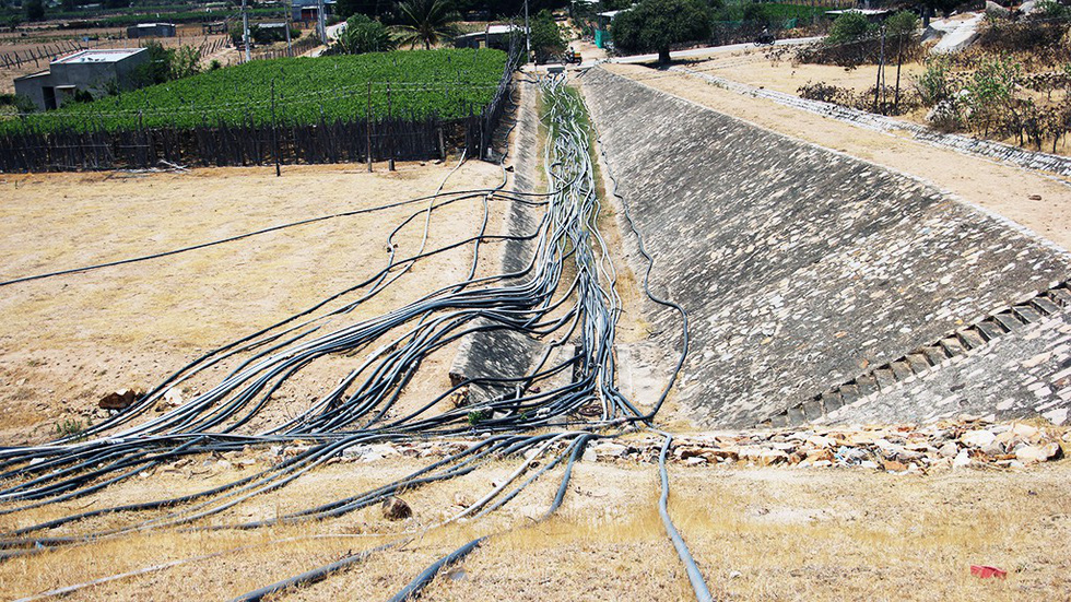 Scores of empty plastic water pipes run to a vineyard from former Ong Kinh Lake in Ninh Thuan Province. Photo: Tuoi Tre