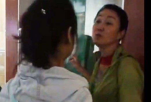 Wang Jihong (R) speaks to a group of tourists at the Da Nang Museum in this screenshot taken from the video clip.