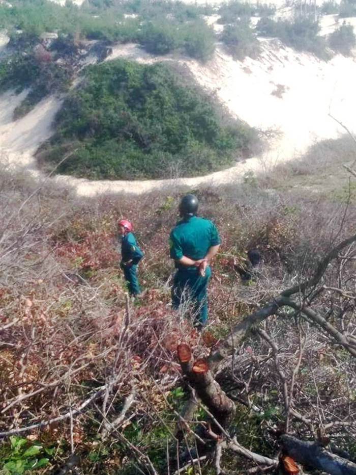 Authorities inspect a forest on Nhon Islet. Photo: Tuoi Tre