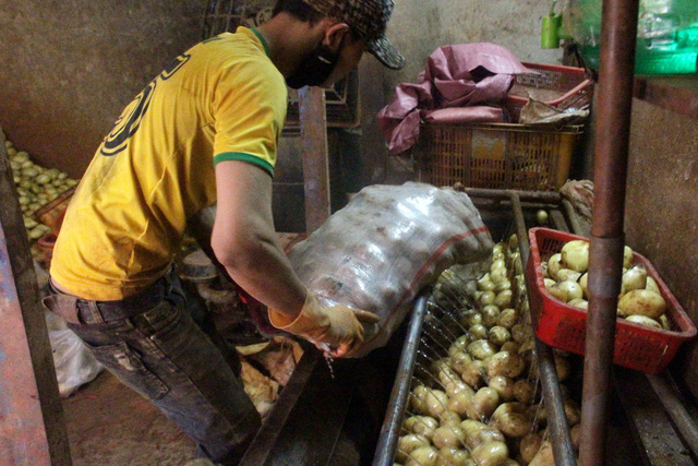 A man handles a bag of Chinese potatoes. Photo: Tuoi Tre