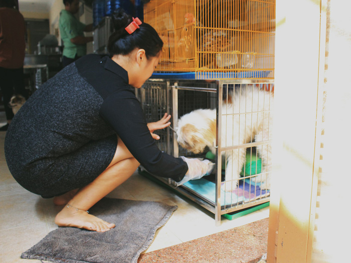 Tran Uyen Nhu cleans a dog cage