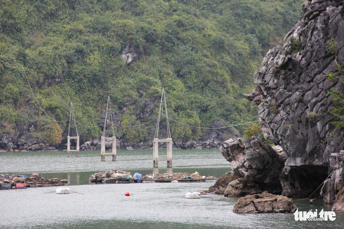 Structures that support power lines to the unlicensed constructions  at Cat Ba National Park, of Hai Phong City, Vietnam. Video: Tuoi Tre