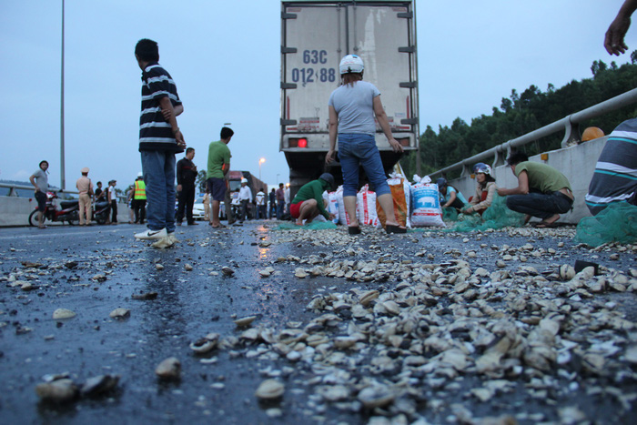Frozen clams fill the street after the accident. Photo: Tuoi Tre