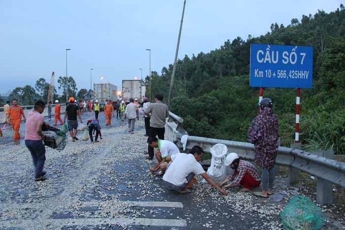 Local residents help pick up the frozen clams. Photo: Tuoi Tre