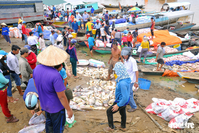 People purchase fish along the La Nga River in Dong Nai Province, Vietnam, May 21, 2018. Photo: Tuoi Tre