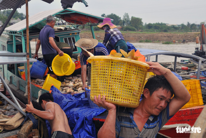 A man shoulders a basket of fish along the La Nga River in Dong Nai Province, Vietnam, May 21, 2018. Photo: Tuoi Tre
