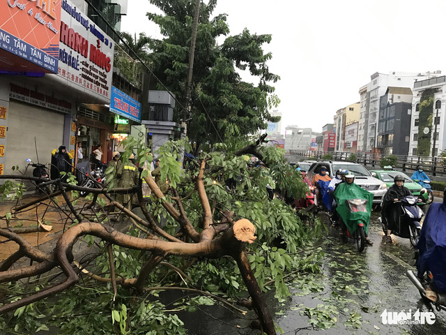 A tree breaks due to strong wind on Cong Hoa Street.