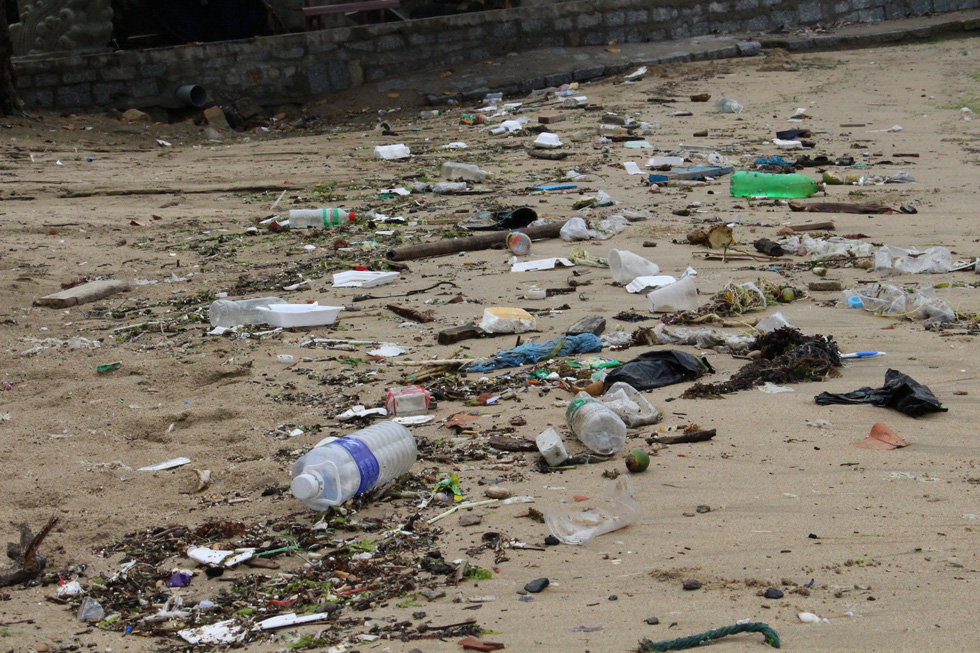 Trash is washed into the coastline within the park.