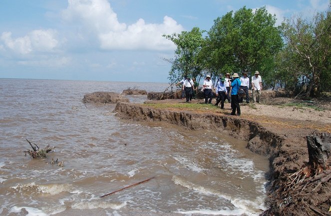 Officials observe an eroded area in Ca Mau Province, Vietnam. Photo: Tuoi Tre