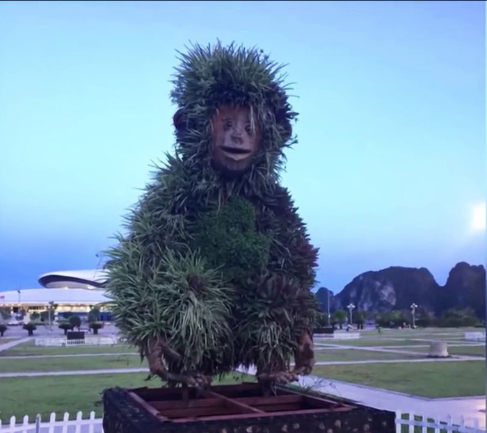 Plants grow wildly on the monkey statue in October 30 square in Ha Long City.