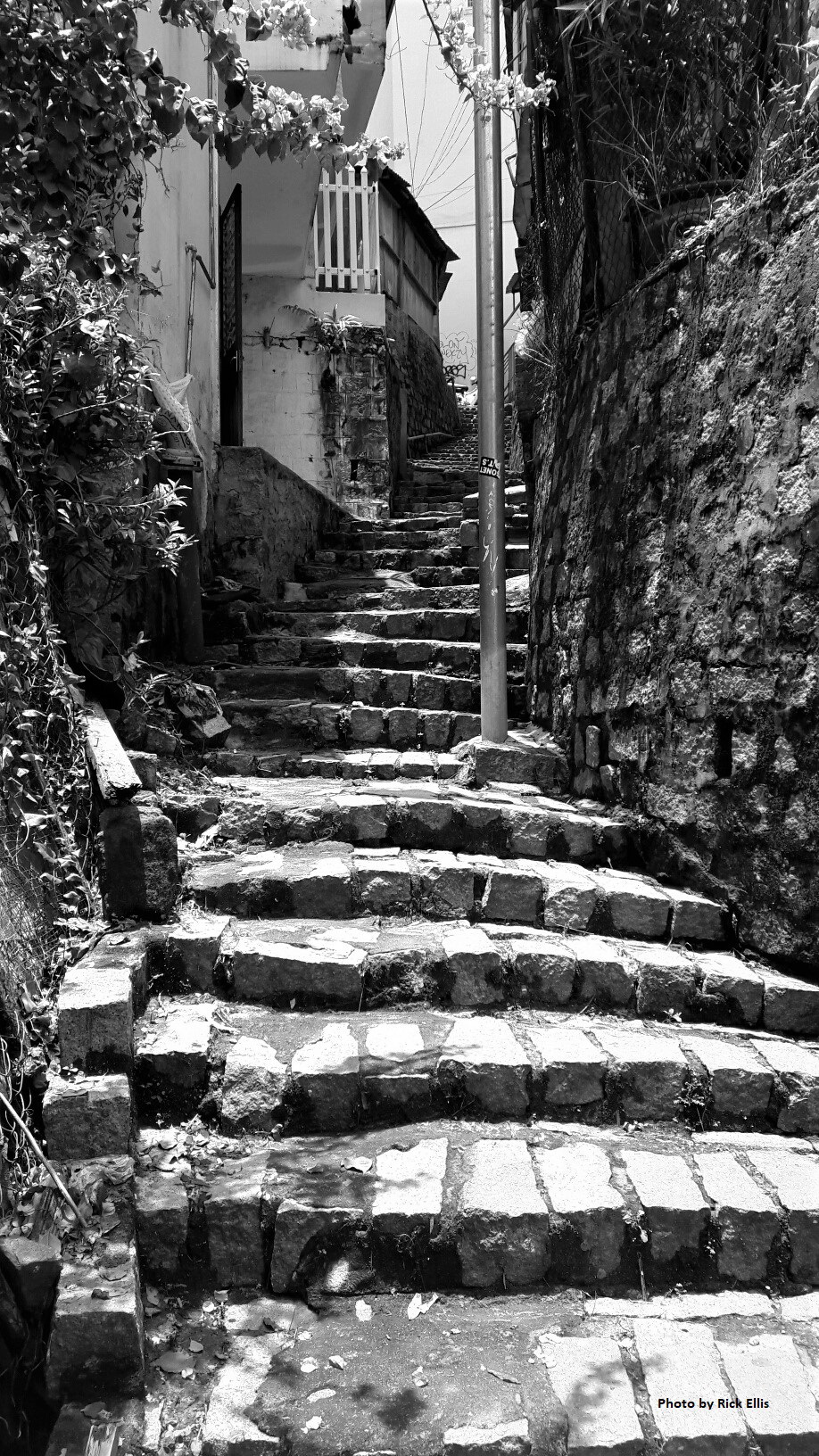 Stone stairs wind their way up the hill in Da Lat