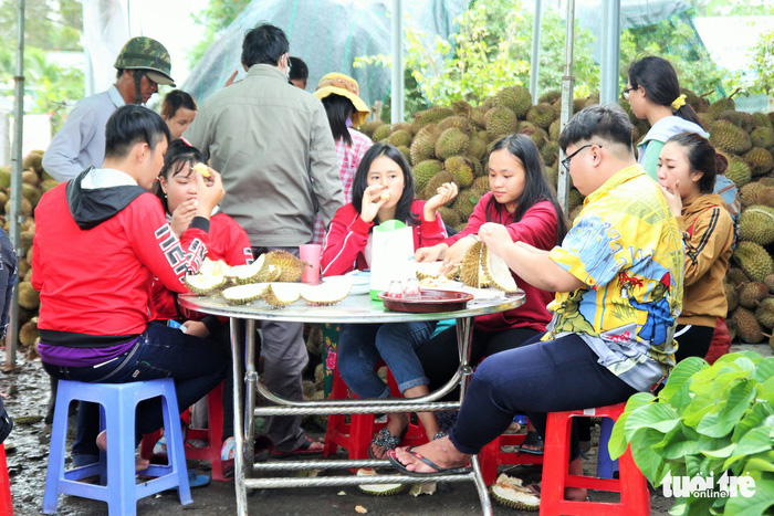 Customers eat super cheap durians at the seedling farm. Photo: Tuoi Tre