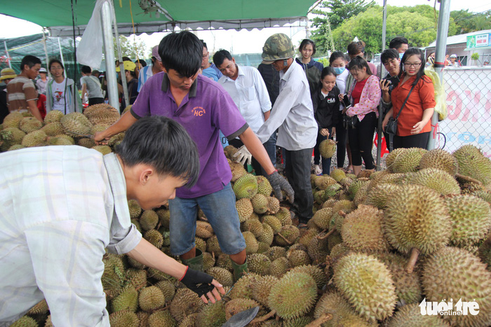 Two staffs of the seedling farm help customers select the perfect durian. Photo: Tuoi Tre