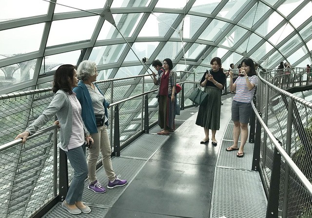 Vietnamese visitors take a picture at Cloud Forest in Gardens by the Bay, Singapore. Photo: Tuoi Tre