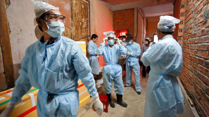 Ninh Thuan declares H5N1 flu epidemic on swallows