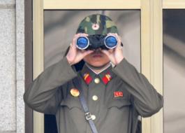 N. Korea set to stage major military drill: report