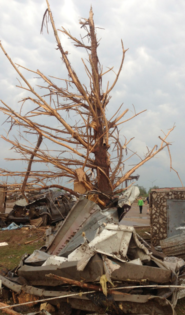 A shredded tree stands amid debris after a massive tornado touched down in the town of Moore, near Oklahoma City, Oklahoma May 20, 2013.