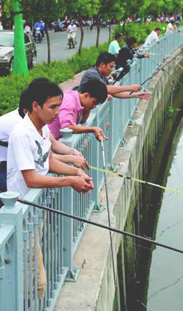 However, the released fish are now living in fear, as many people try to catch them with fishing rods.