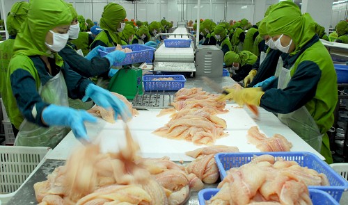 Vietnamese catfish exports to US continue to rise