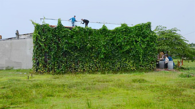 550 houses built illegally in HCMC in one month